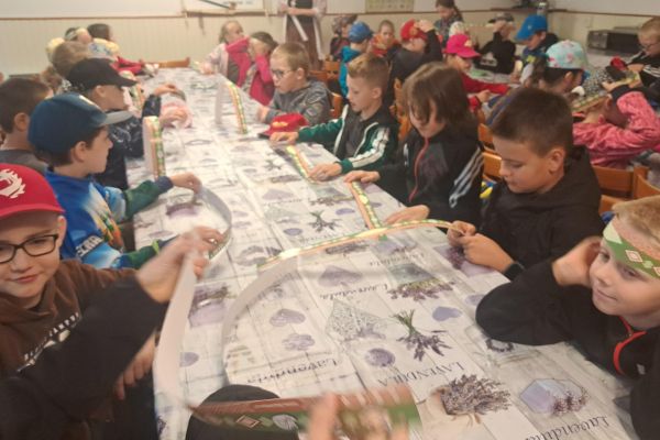 20240520-091825705D20A4-56C7-7735-5432-8D62EA045FCD.jpg